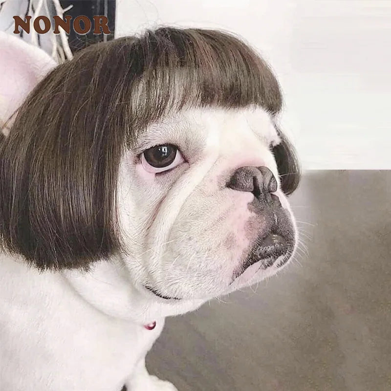 NONOR Pet Wigs Cosplay Props Funny Dogs Cats Cross-Dressing Hair Hat Costumes Head Accessories for Halloween Christmas Supplies