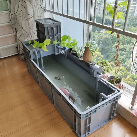 Aquatic and amphibious ecological tank, swamp fish tank, pot, turtle box, turtle tank, household feeding box