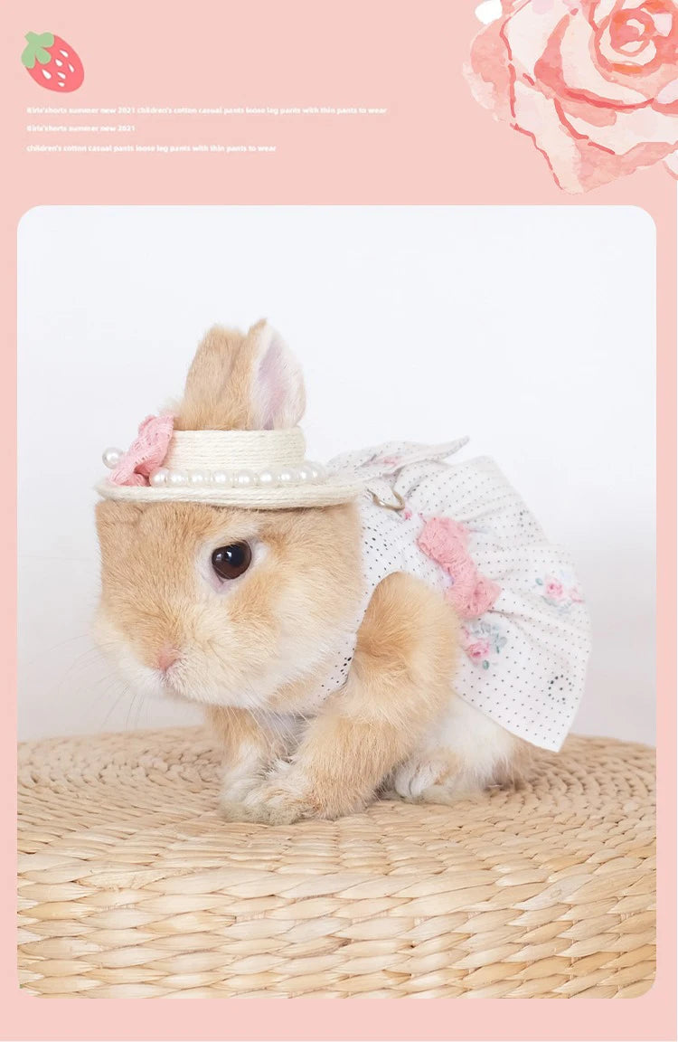 Fashion Rabbit Guinea Pigs Clothes Romantic Rose Princess Dress Set for Little Animals Bunny Chinchillas Suit Rabbit Supplies