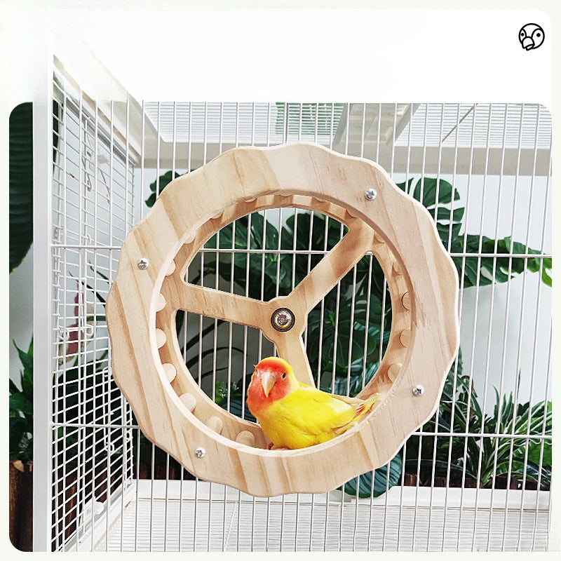1pc Bird Wheel Toy Interactive Spinner Wheel Wooden Birds Toys Cage Accessories For birds Conures Parakeets Parrots Cockatiels Budgies
