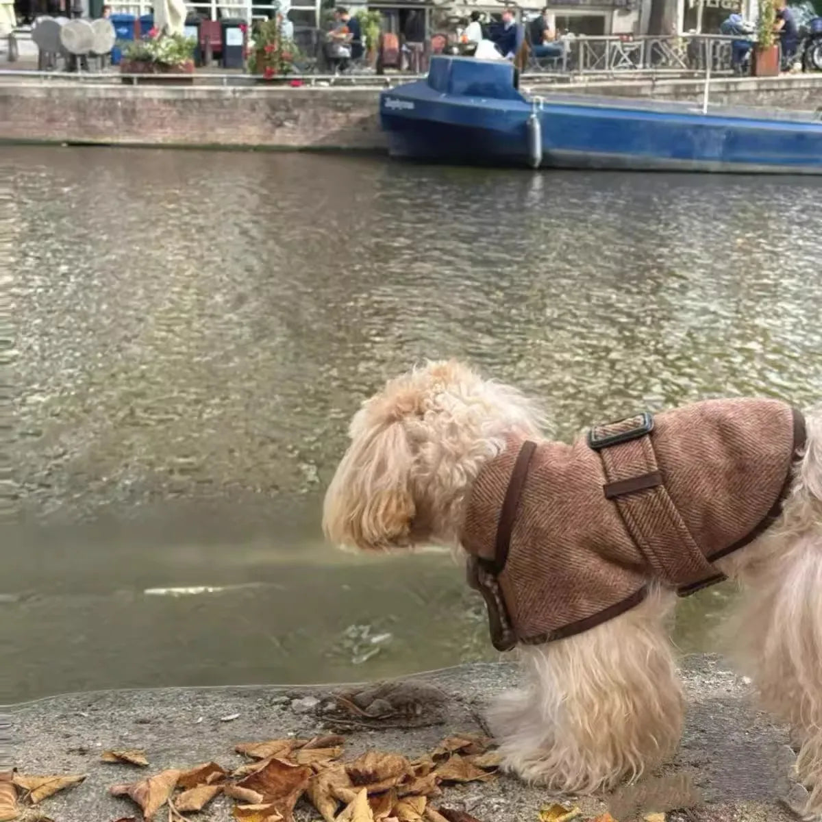 Fashionable British-Style Brown Pet Coat With Woolen Fabric - Dog Clothing