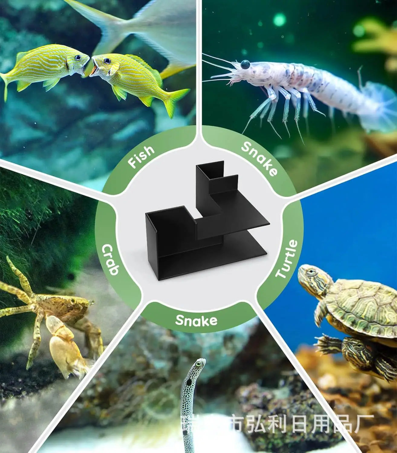 Fish Shrimp Hides Cave Aquarium Tunnel Underground Corner Shelter Aquarium Fish Tank Decoration Fish Shrimp Concealed Room