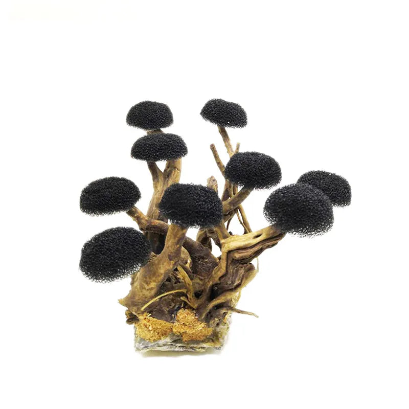 Fish tank greening wood frame planting decoration accessories Moss tree frame (no Moss) Aquarium planting driftwood decoration