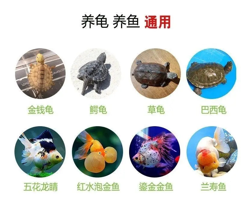 Tank-free fish tank swamp turtle tank raising turnover box filter mixed ecological tank changing water raising turtle box large