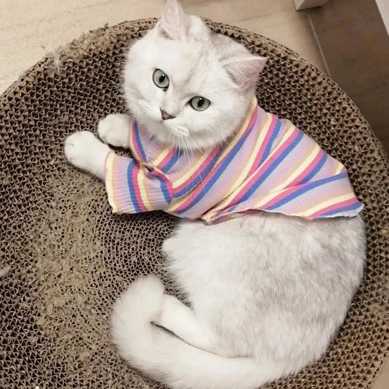 Spring Cotton Pet Cat Clothes for Cats Clothing Sweet Stripe Sphynx Cat Vest Shirt Hairless Cats