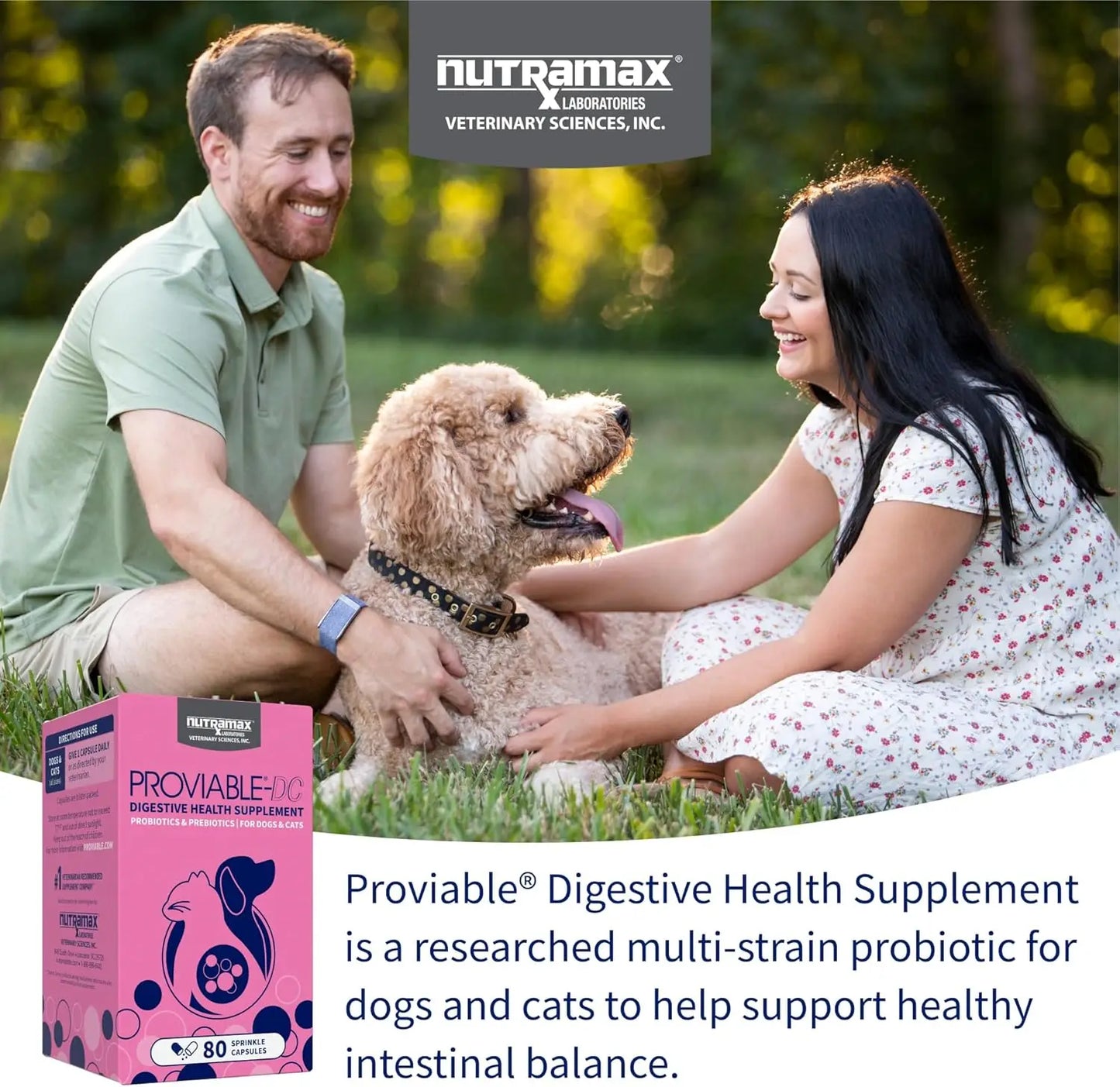 80 Count Proviable Digestive Health Supplement Multi-Strain Probiotics for Cats and Dogs - with 7 Strains of Bacteria