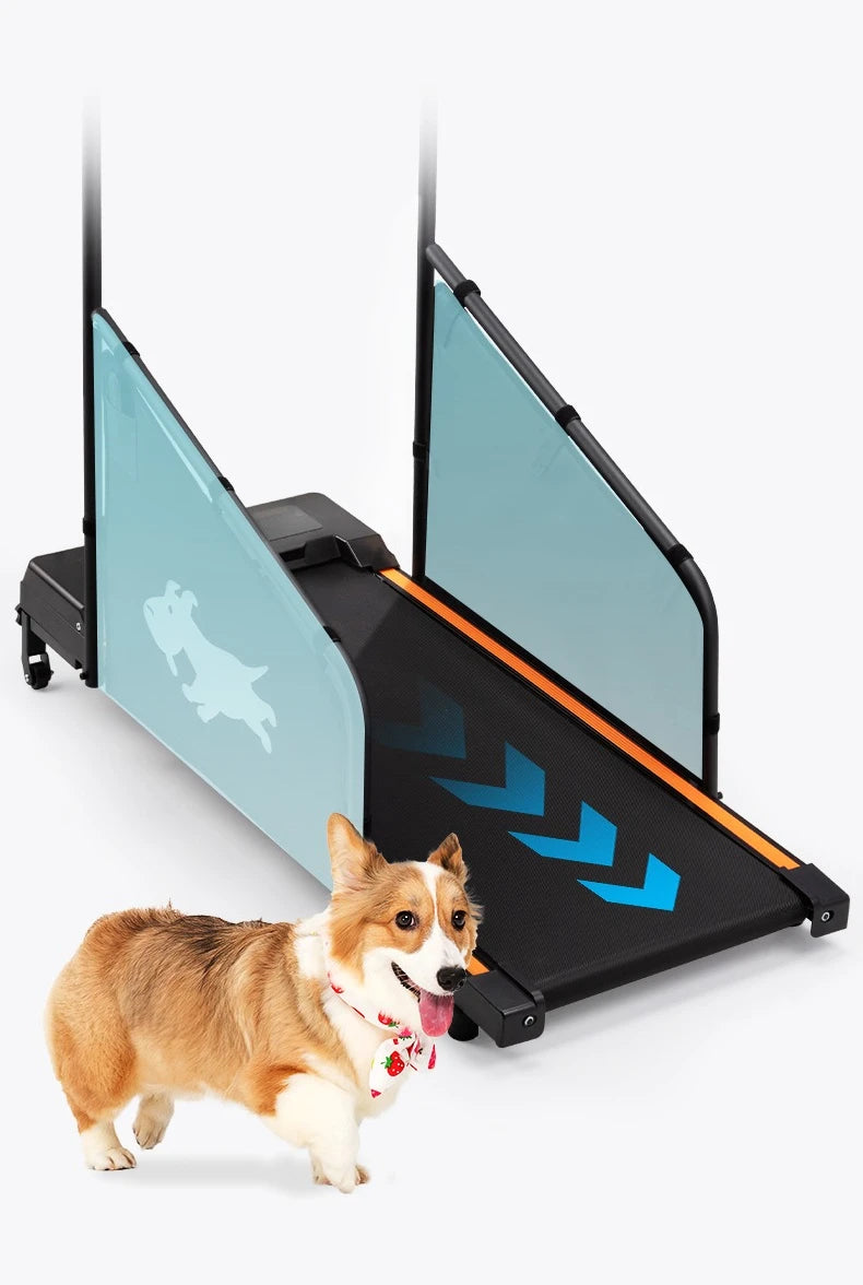 Pet Treadmill Trainer Intelligent Display Dog Running Adjustable Dog Walking Machine Non-slip Pet Trainings Supplies Products