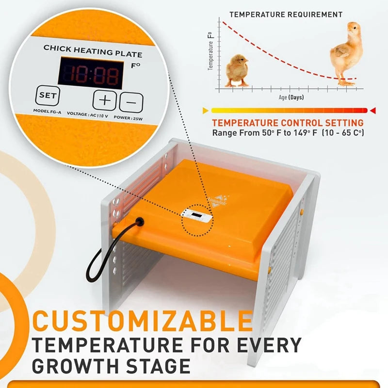 Chick Brooder Heating Plate Chicken Brooder Heater With Adjustable Height And Angle, Digital Temperature Control