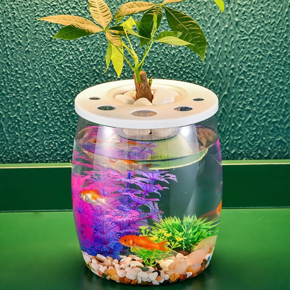 Miniature Landscape Transparent Small Clear Fish Tank Plastic Shatterproof Turtle Aquarium With Lid Goldfish Tank Home Decor