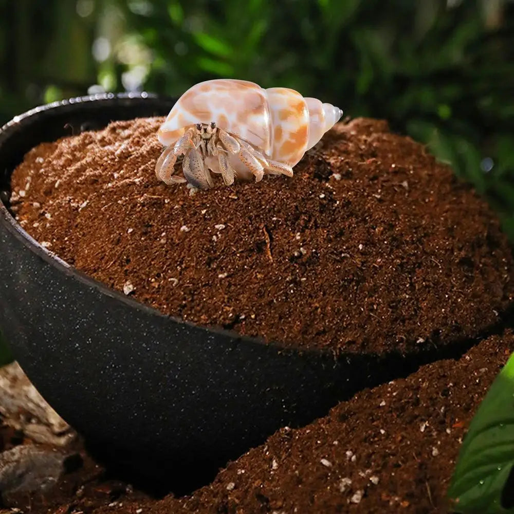 Coco Coir Brick Compressed Coco Fiber Substrate Snake Bedding Reptile Tank Accessories Landscaping Mulch For Geckos Tortoises