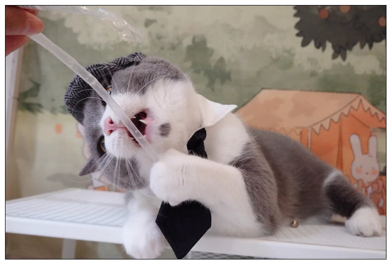 Funny Pet Cat Hat and tie Gentleman's Hat Beret Tie Bathing Blood Gangster Handsome Cosplay Photo Prop Pet Halloween Costume