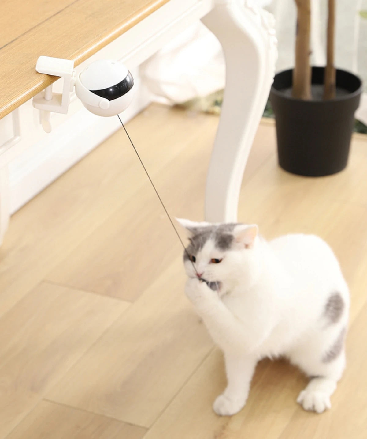 1Pc Fun Lifting Ball Electric Motion Cat Toy With Automatic Retractable Cat Teasing Ball Rotating Interactive Puzzle Pet Toys Cat Toys