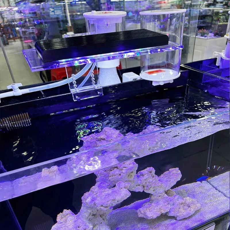 2L 4L fish tank automatic water replenisher back filter sea water tank grass tank water replenishment bucket automatic