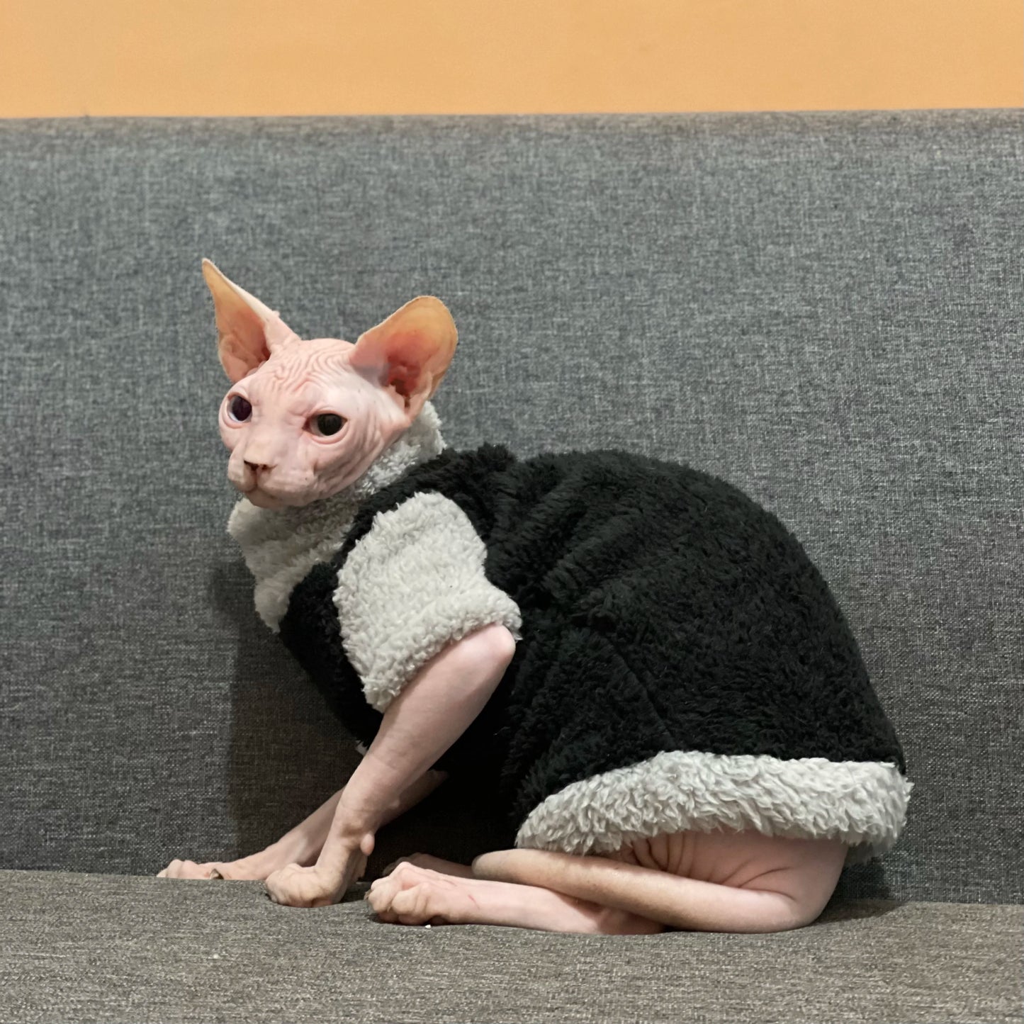 Lamb Wool Coat for Cats Sphynx Cat Clothing Winter Soft Grey T-Shirt for female Kittens Devon Rex Short or Long Sleeves Loungewear