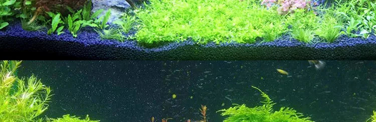 Fish tank greening wood frame planting decoration accessories Moss tree frame (no Moss) Aquarium planting driftwood decoration