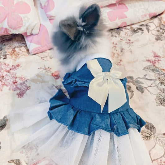 Rabbit Outing Clothes Lop-eared Dwarf Rabbit Pleated Skirt Rabbit Dress Up Accessories Small Bunny Supplies Mesh Sling Dress