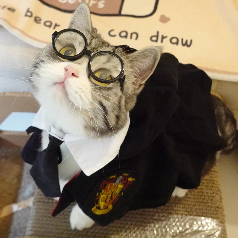Funny Pet Cat Hat and tie Gentleman's Hat Beret Tie Bathing Blood Gangster Handsome Cosplay Photo Prop Pet Halloween Costume