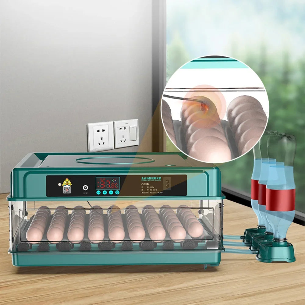 6-12 Eggs Incubator for Chicken Goose Bird Quail Automatic Incubation Equipment Hatchery Incubation Tool US Plug Dual Electric design