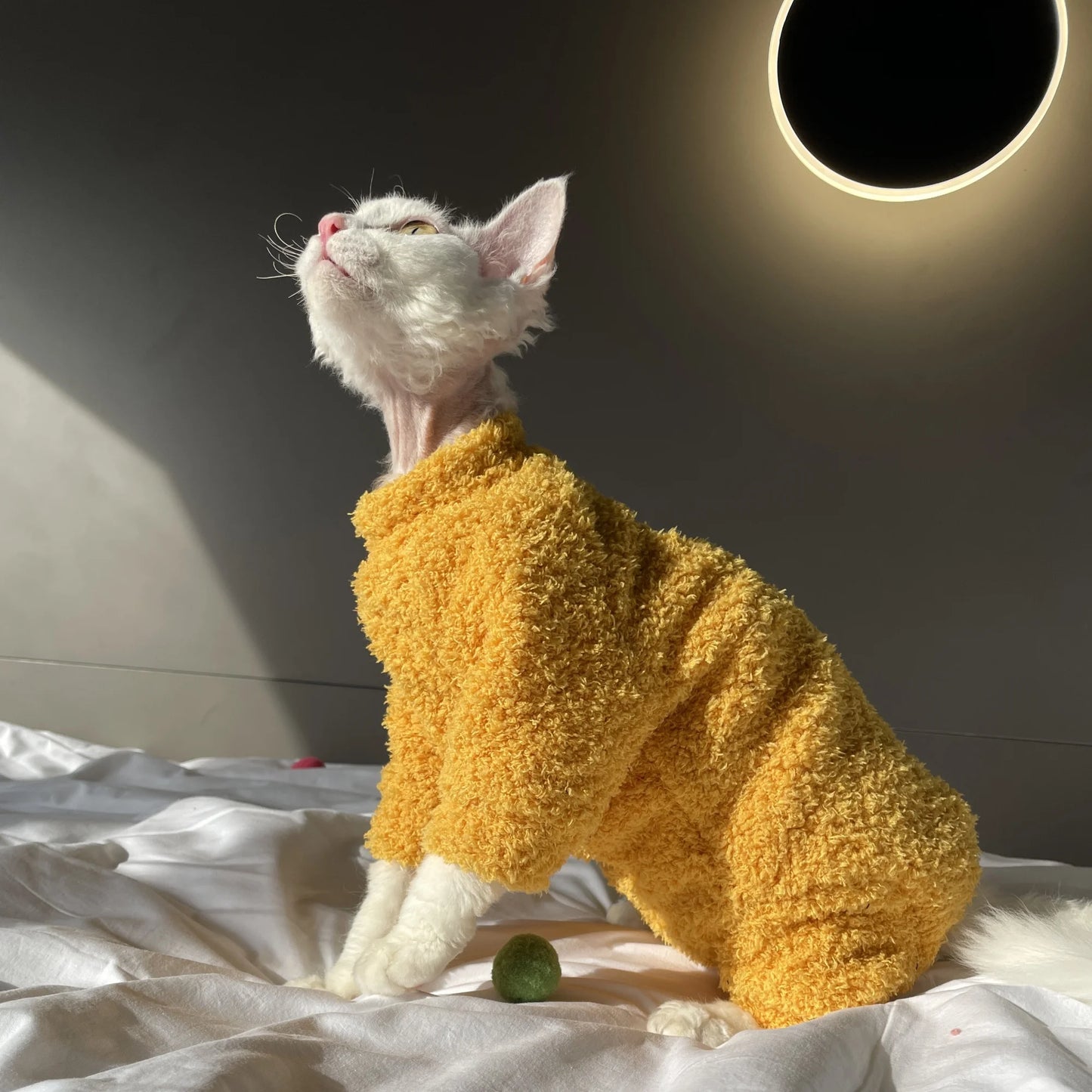 Winter Warm Plush 4-legged Sweatshirt Hat Suit for Devon Rex in Winter Soft Yellow Red Sweater for Sphynx Cat Kittens Khaki Coat