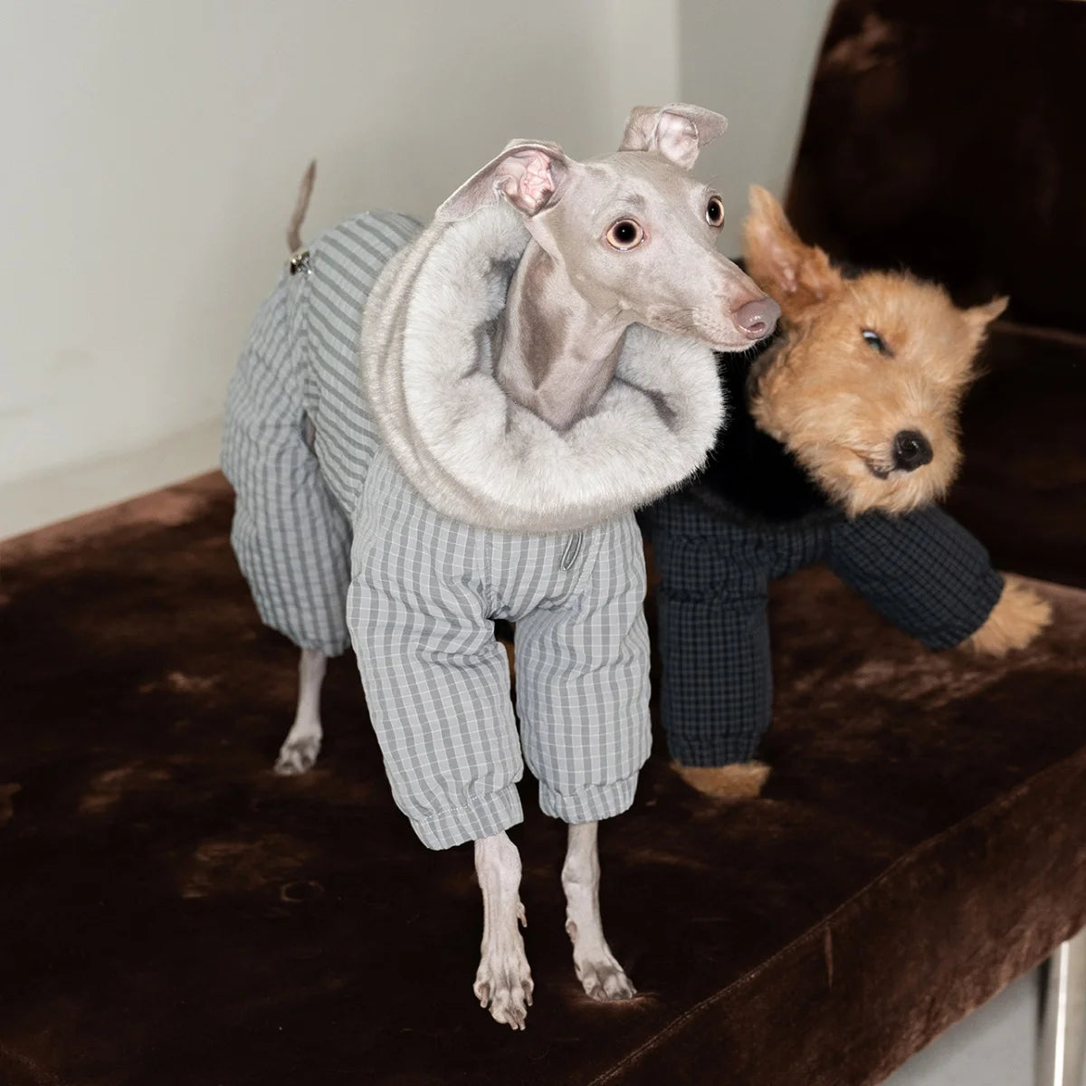 Thick Plaid Down Coat for Dogs in Winter Waterproof Windproof Grey Warm 4-leg Mink Fur Collar Puffer Jacket for Italy Greyhound