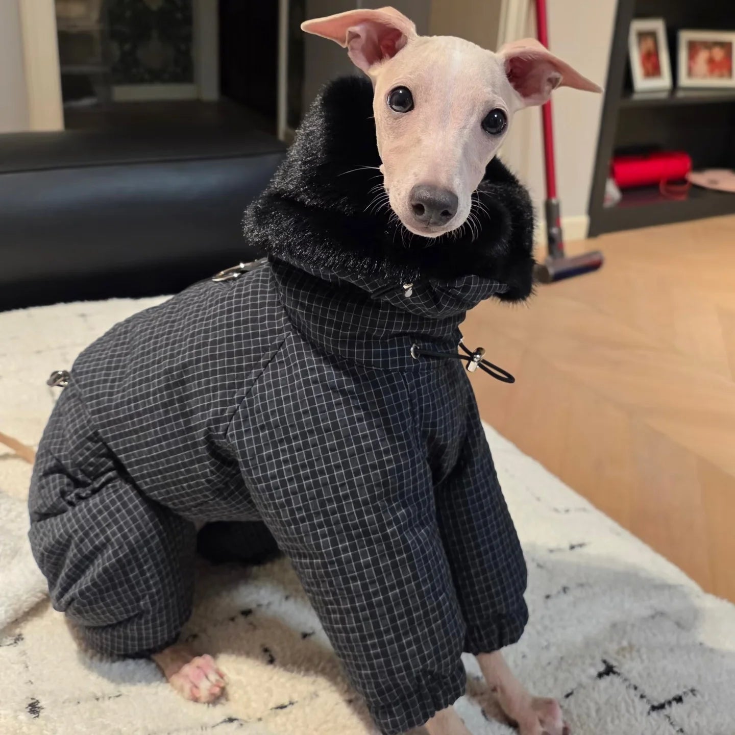 Thick Plaid Down Coat for Dogs in Winter Waterproof Windproof Grey Warm 4-leg Mink Fur Collar Puffer Jacket for Italy Greyhound