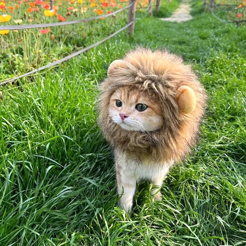 Cat Cosplay Dress Up Pet Hat Lion Mane for Cat Puppy Lion Wig Costume Party Decoration Halloween Christmas Cat Pet Supplies