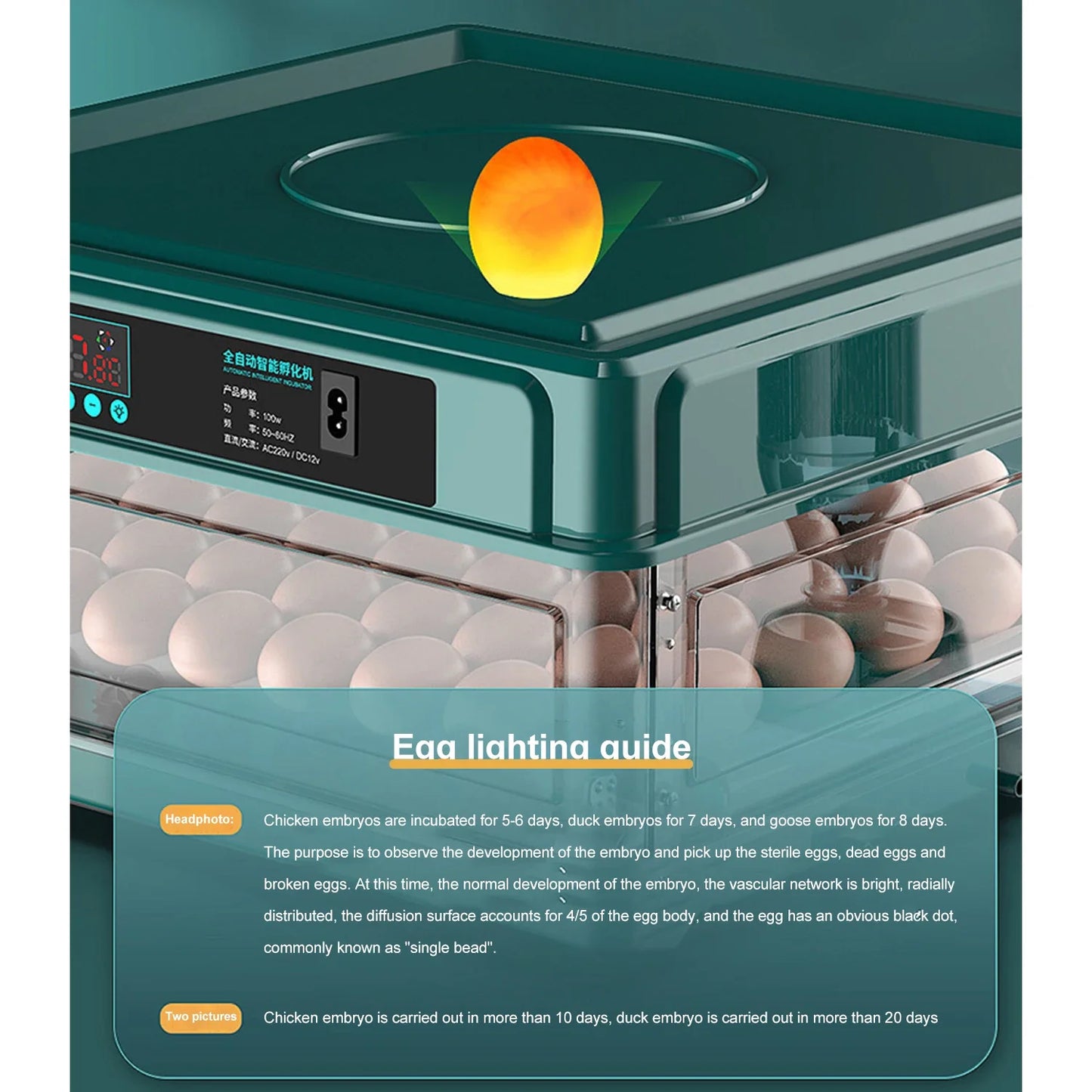 Small Chicken Incubator, Fully Automatic Smart Home Incubator, Chicken Breeding Incubator with Drawer Style Mini Egg Incubator
