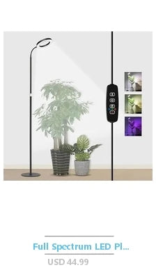 Reptile Terrarium PC Tank Starter Kit 15.6x8x10 inch Anti Breakage Amphibians Habitat Ventilation Kit Starter Accessories