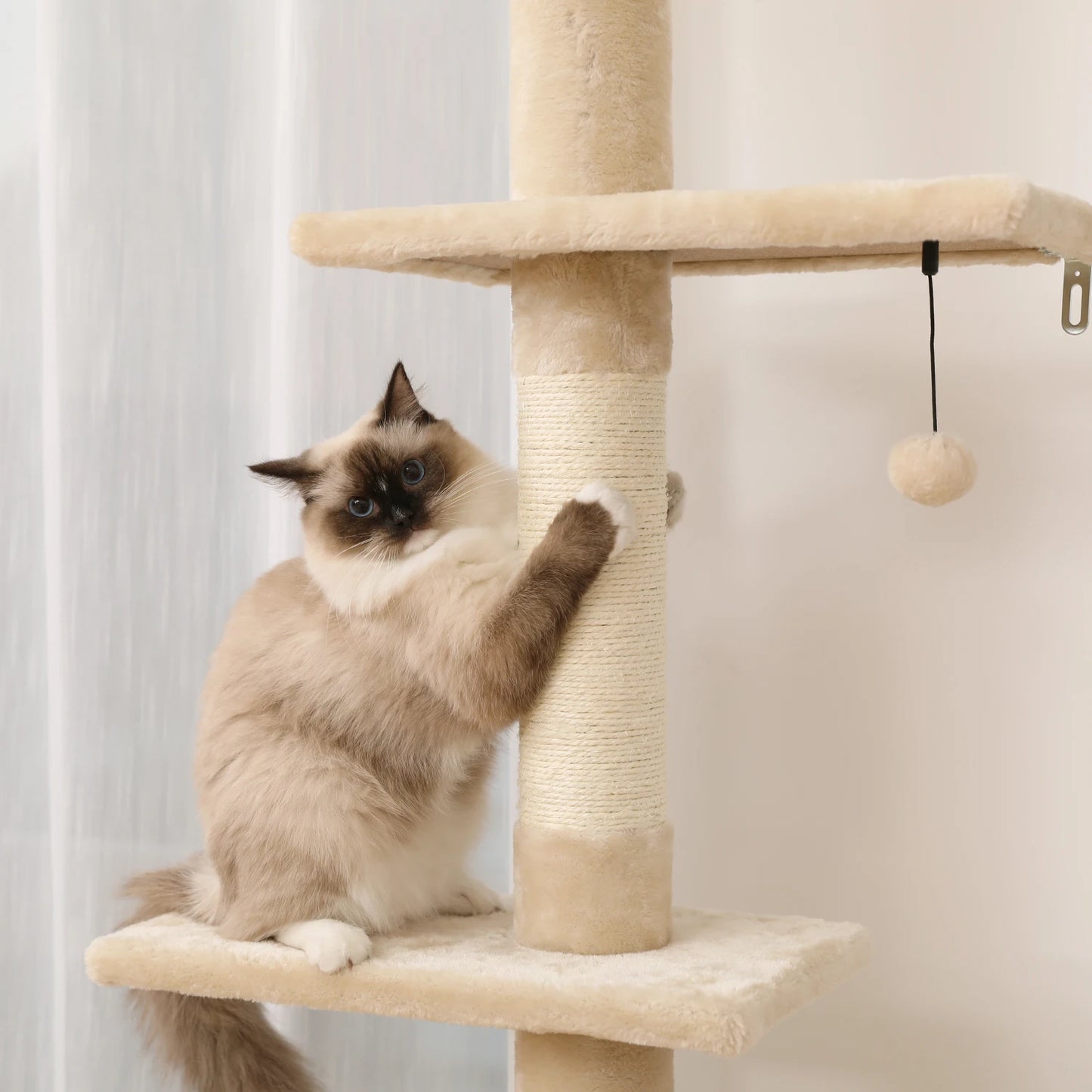 Adjustable Floor-to-Ceiling Vertical Cat Tree Tower Stable Tall Cat Climbing Tree Cat Kittens Cat Toy Suitable for Indoor Cats