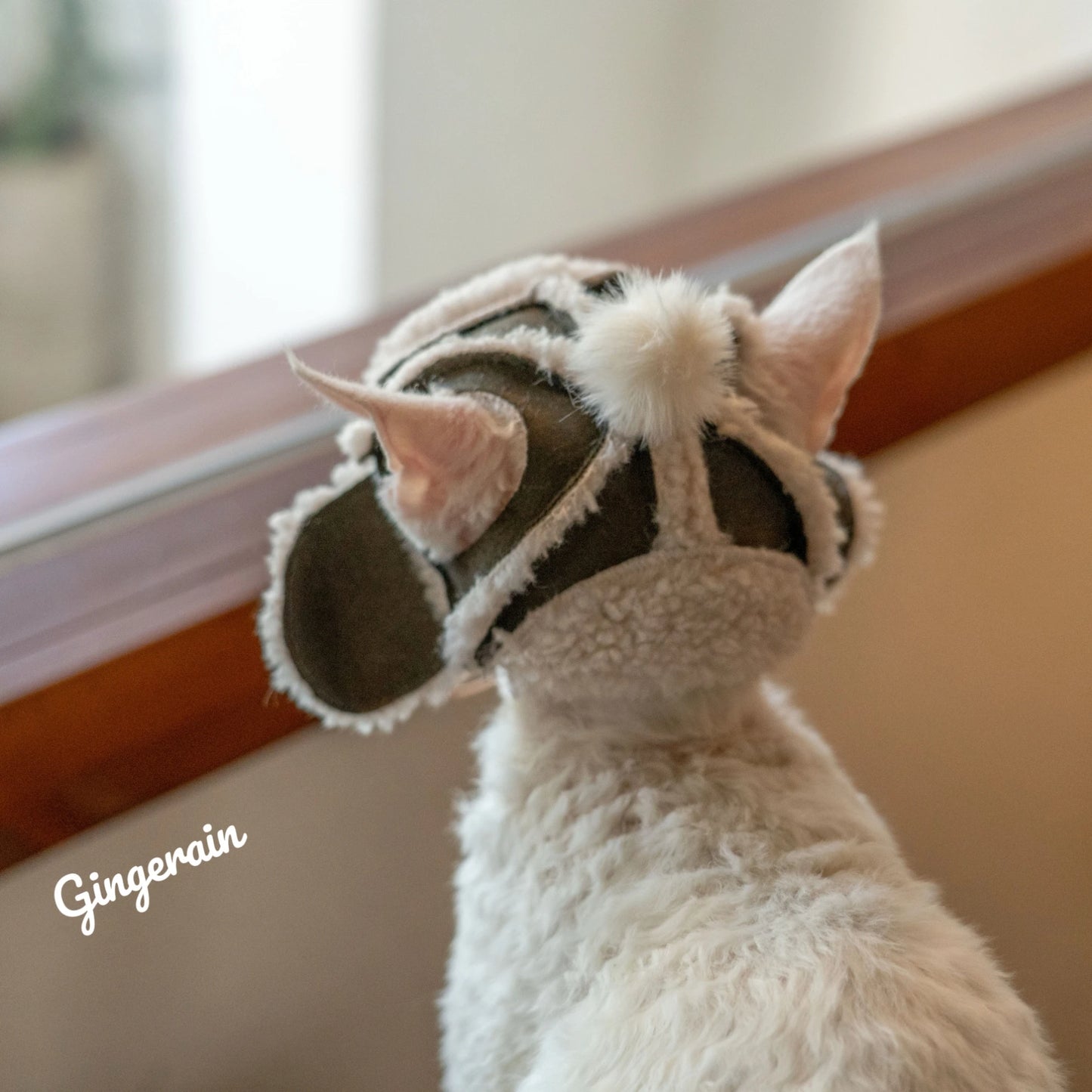 Devon Rex Cat Kittens Hats Sphynx Sheepskin Helmet Camo Fleece Hat Winter Warm Adjustable Hats With Hole