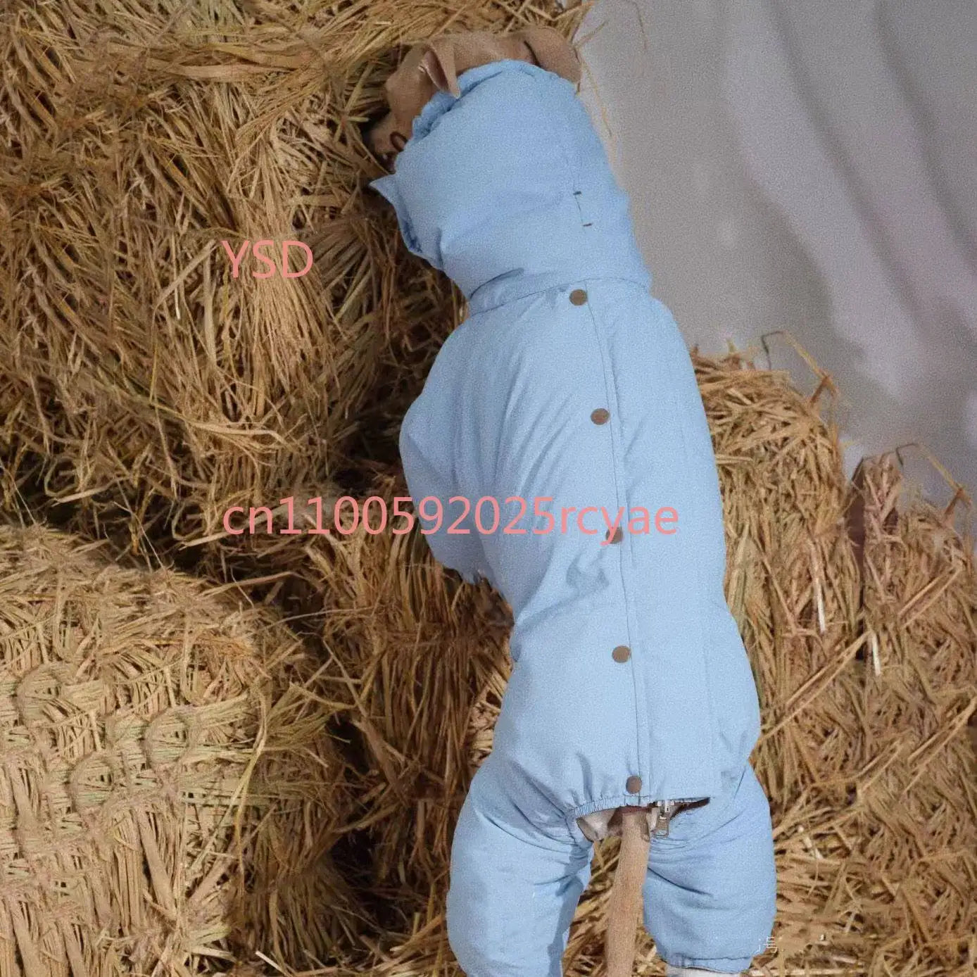 Autumn Winter Medium Dog Turtleneck Coat - Windproof Warm Eco-Cotton Padded Clothes