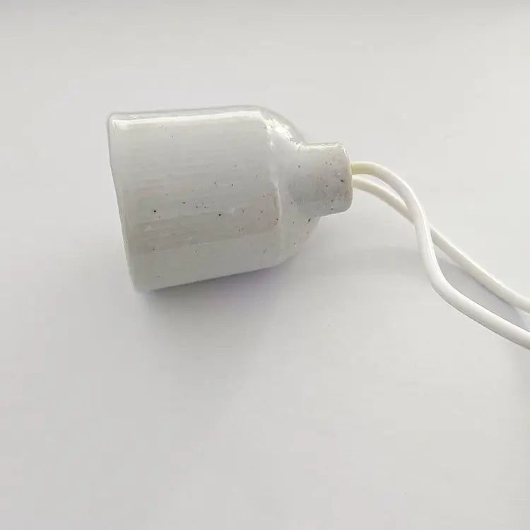 Chicken insulation lamp, automatic temperature control heating lamp, rutin chicken quail intelligent digital thermostat thermost