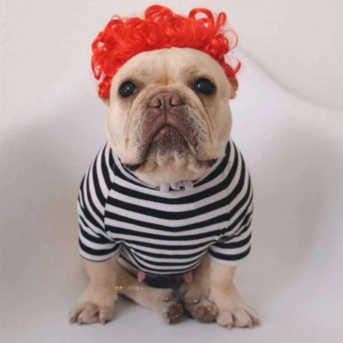 NONOR Pet Wigs Cosplay Props Funny Dogs Cats Cross-Dressing Hair Hat Costumes Head Accessories for Halloween Christmas Supplies