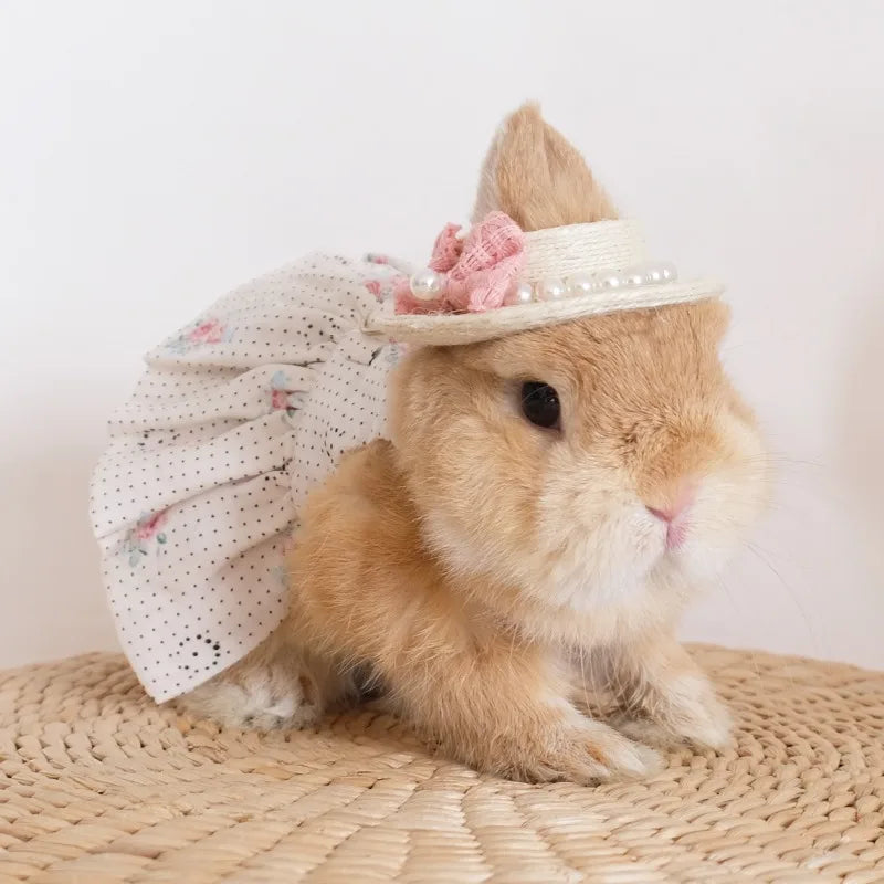 Fashion Rabbit Guinea Pigs Clothes Romantic Rose Princess Dress Set for Little Animals Bunny Chinchillas Suit Rabbit Supplies