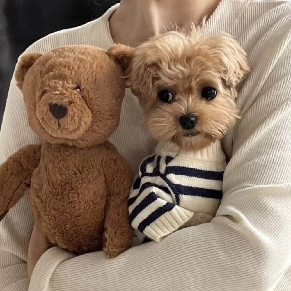 New Striped Pattern Dog Clothes Warm Knitted Dog Sweater Dog Pullover Autumn Winter