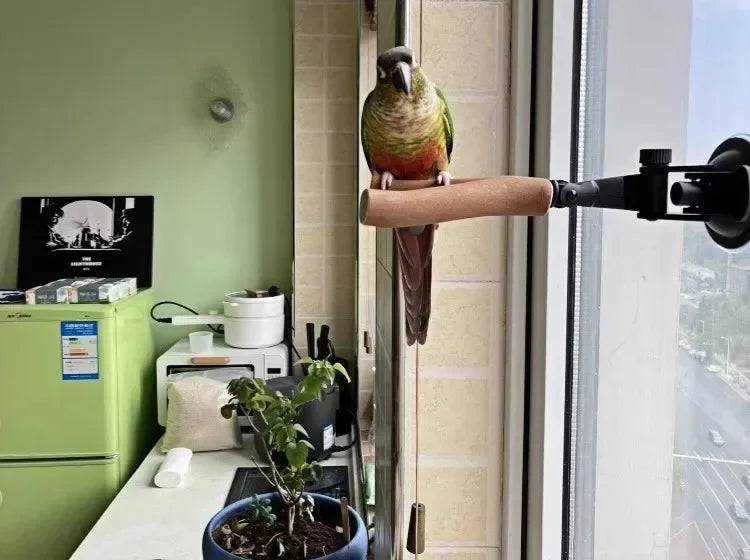 1pc-natural wood bird perch rod, parrot claw grinder rod, bird cage accessories, bird cage claw grinder bracket rod