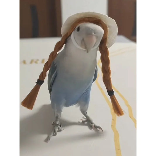 Small Pet Bird Hand Woven Headband Hat Peony Parrot Pet Hair Accessory Headband Adjustable Bird Toy Accessories Pet Supplies