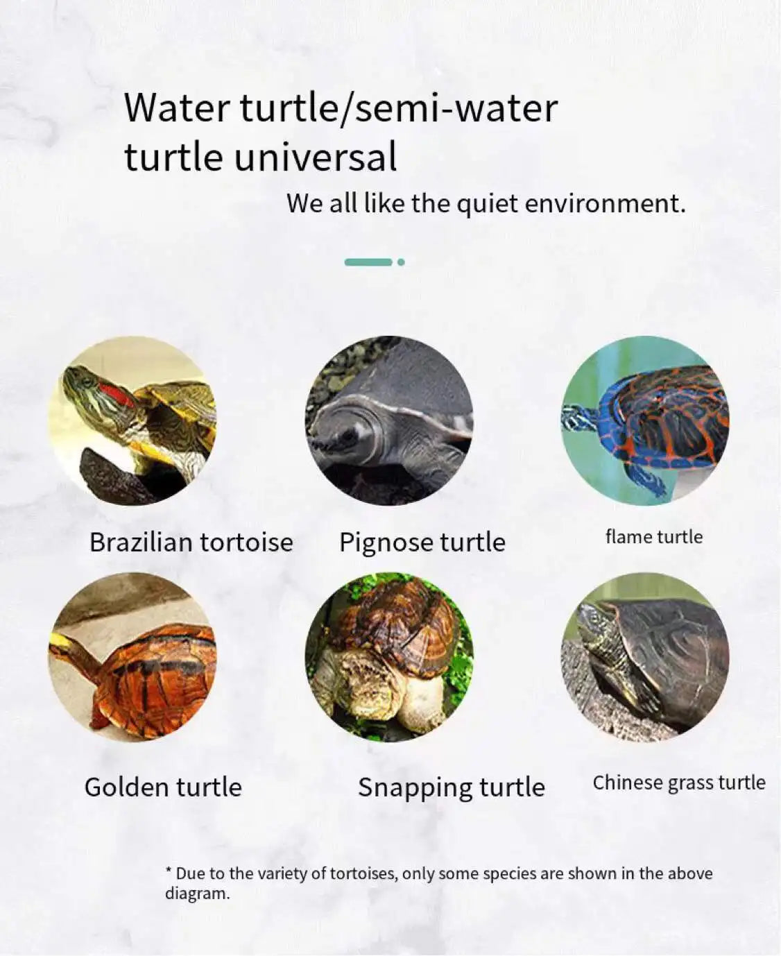 Aquarium turtle tank lazy person water-free breeding box with drying platform ecological turtle tank aquarium accessories 220V