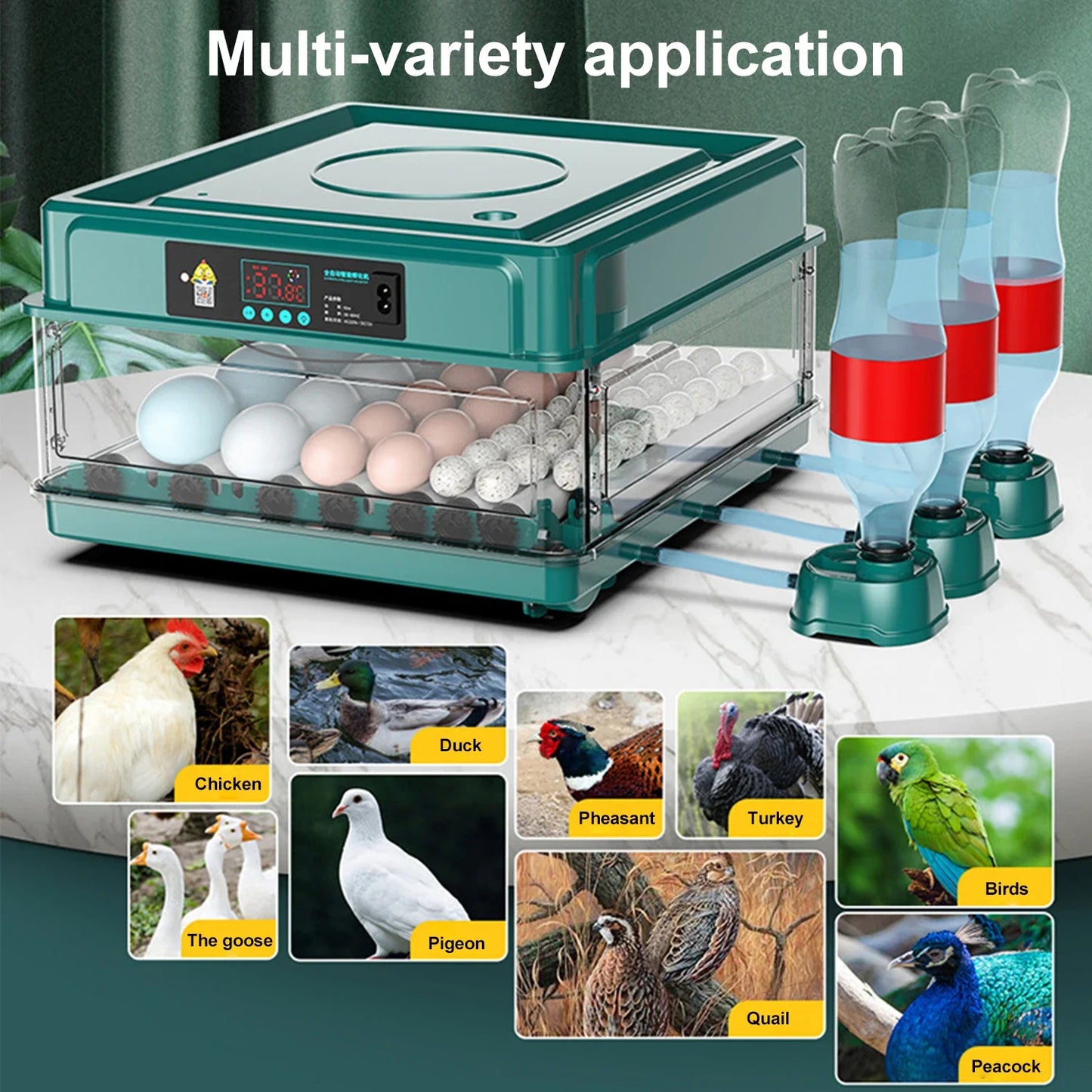Small Chicken Incubator, Fully Automatic Smart Home Incubator, Chicken Breeding Incubator with Drawer Style Mini Egg Incubator