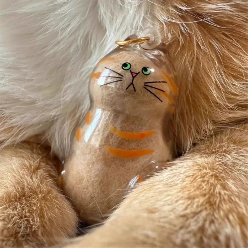 Pet Hair Storage Box Transparent Keepsake Container for Cat Fur DIY Decoration Memorial Gift for Pet Lovers Home Display Use