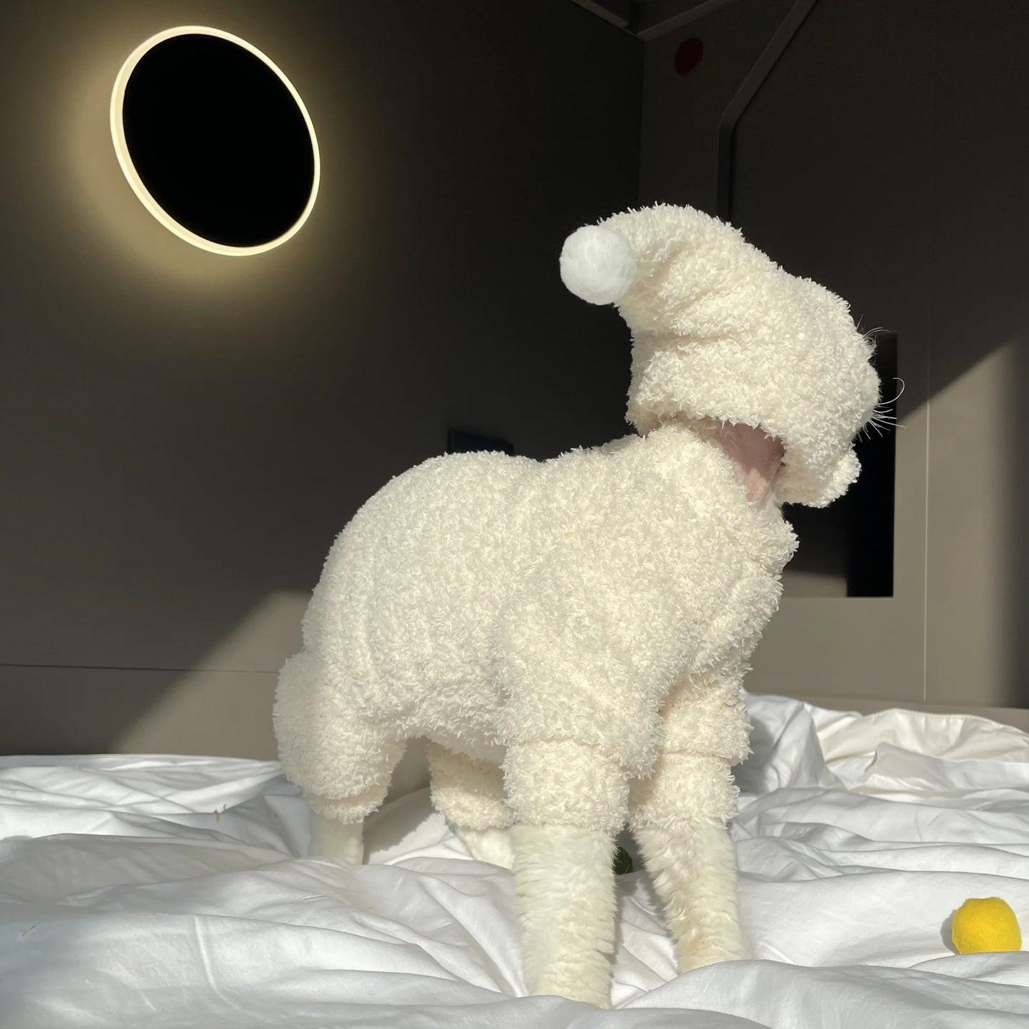 Winter Warm Plush 4-legged Sweatshirt Hat Suit for Devon Rex in Winter Soft Yellow Red Sweater for Sphynx Cat Kittens Khaki Coat