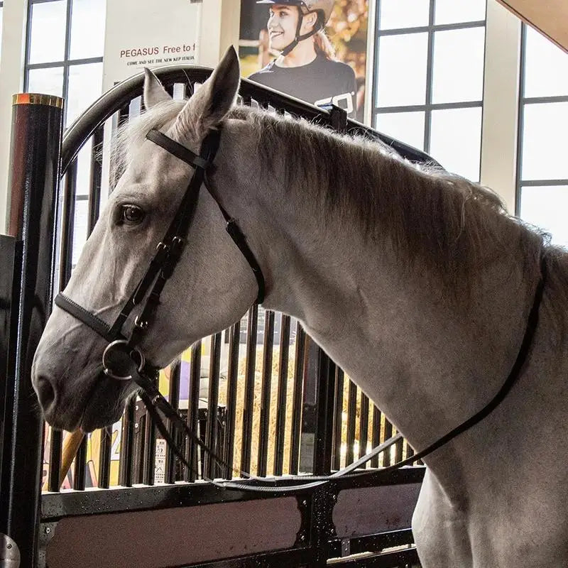 Horse Riding, Horse Training, Controlling Horses, Horse Harnesses, Equestrian Supplies Horse Bridle and Reins