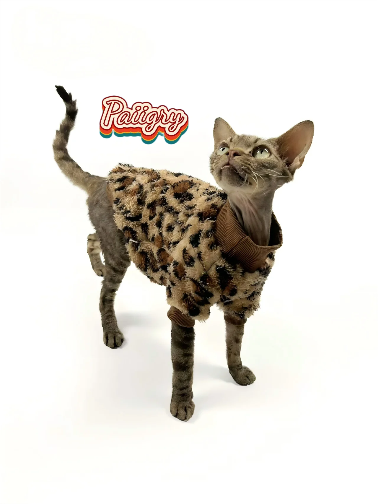 New pet leopard print pattern two-legged clothes cat dog autumn and winter Schnauzer puppy teddy small dog  panda clothes sphinx cat