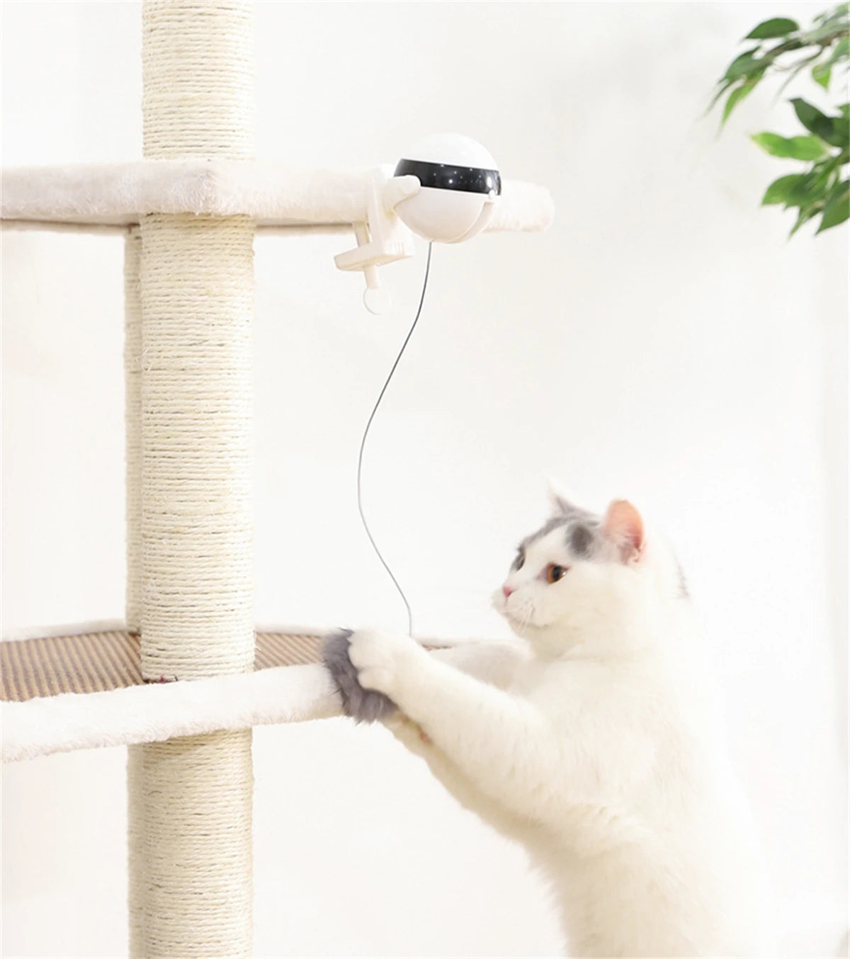 1Pc Fun Lifting Ball Electric Motion Cat Toy With Automatic Retractable Cat Teasing Ball Rotating Interactive Puzzle Pet Toys Cat Toys