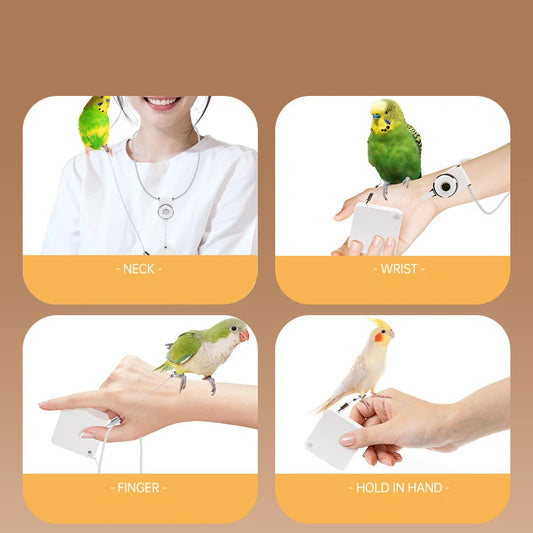 Cockatiel Harness And Leashes 2M Conures Bird Leashes For Parakeet Traction Rope Adjustable Outdoor Cockatiel Leashes For Birds