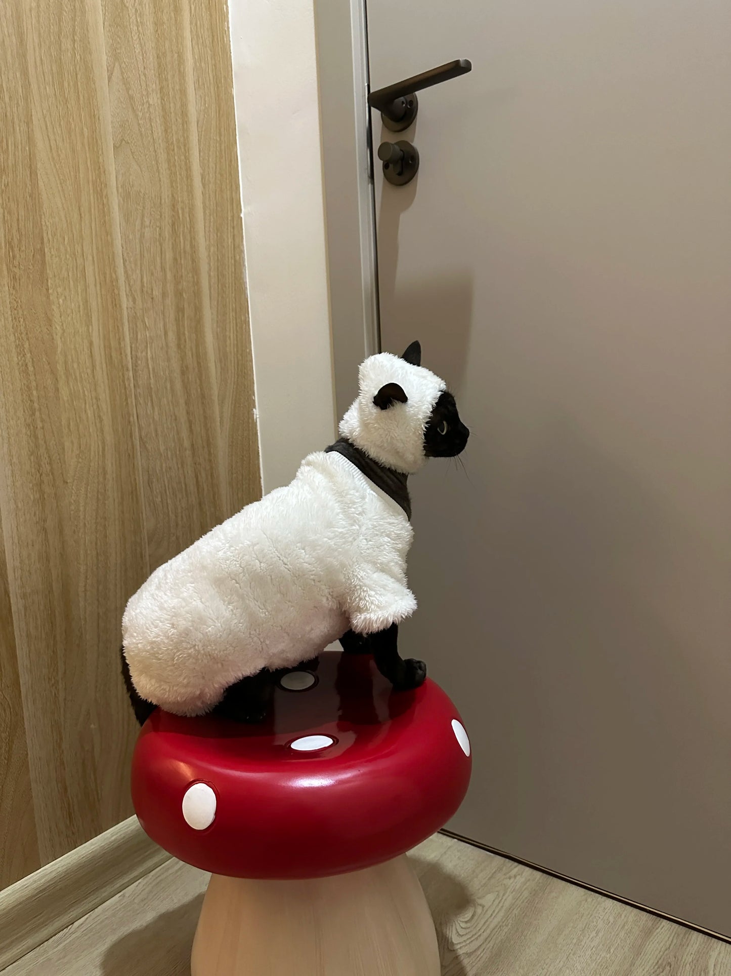 Hairless Cat Clothes Autumn and Winter Thickened polar fleece Warm Four-Legged Sphinx Devon Rex Cat lamb double-sided fleece cotton
