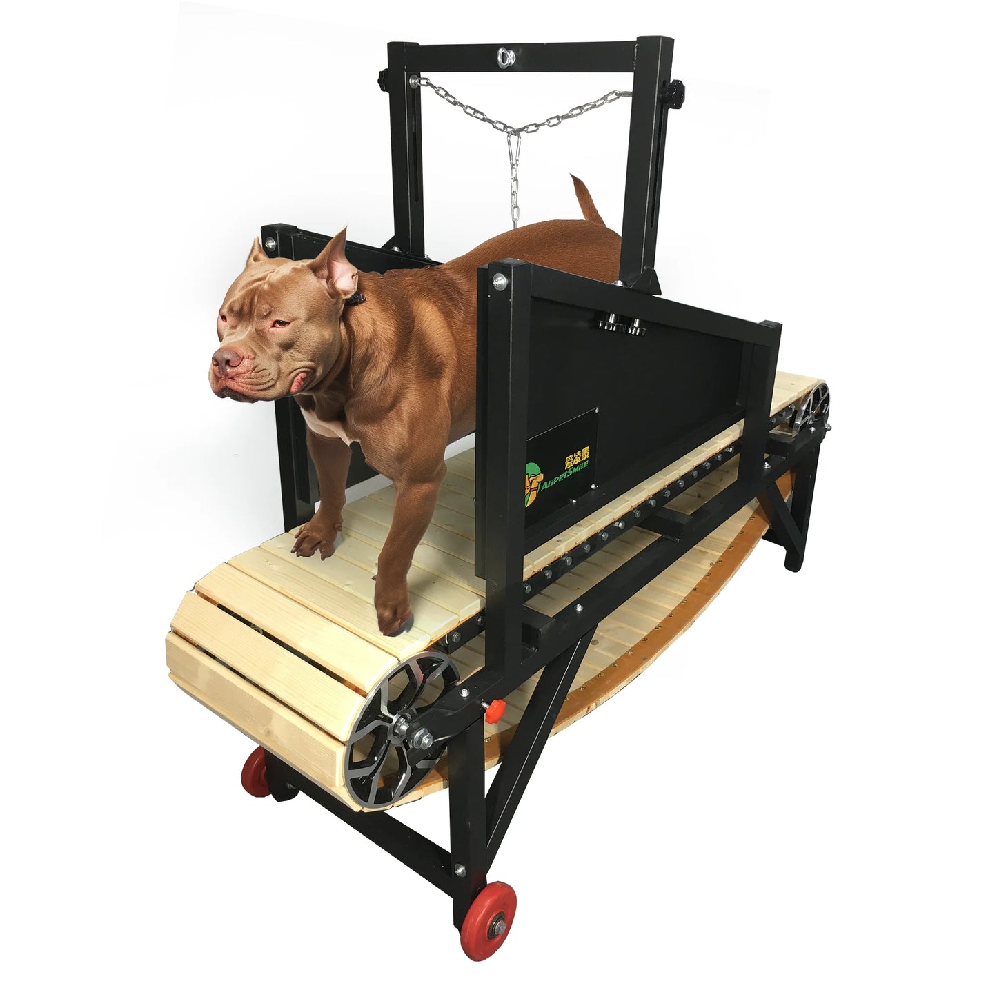 Best Quality Dog Treadmill for Large  Dogs USA  Drop Delivery