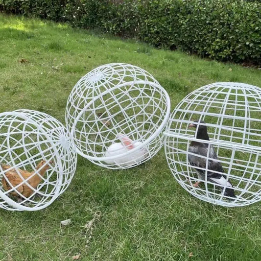 3Pieces Chicken Ball Cage PVC Movable Spherical Chicken Cage Round Rabbit Cage Can Roll And Walk To Feed Free Range Chicken Cage