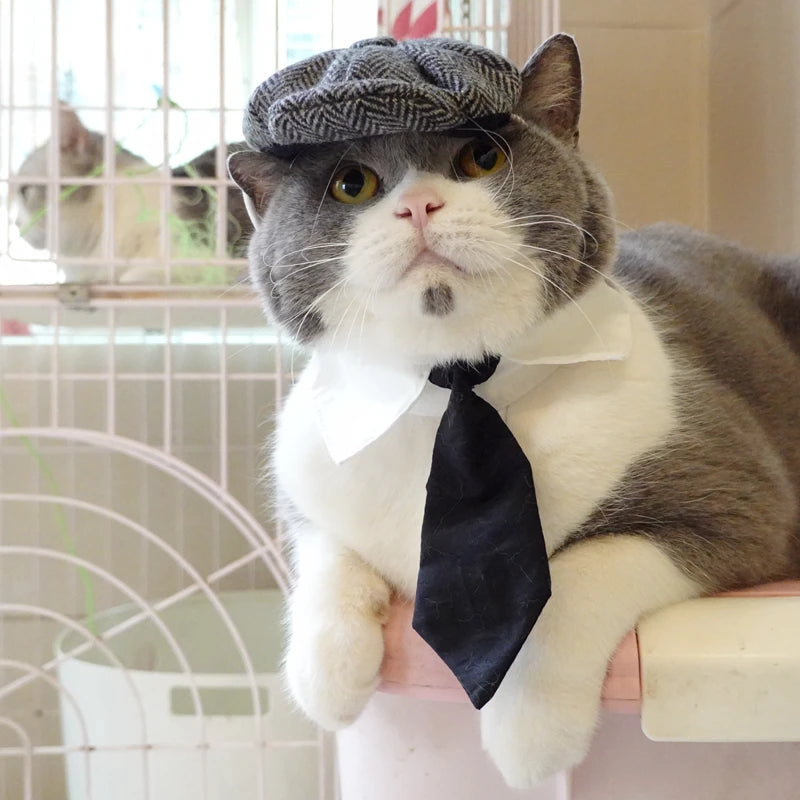 Funny Pet Cat Hat and tie Gentleman's Hat Beret Tie Bathing Blood Gangster Handsome Cosplay Photo Prop Pet Halloween Costume