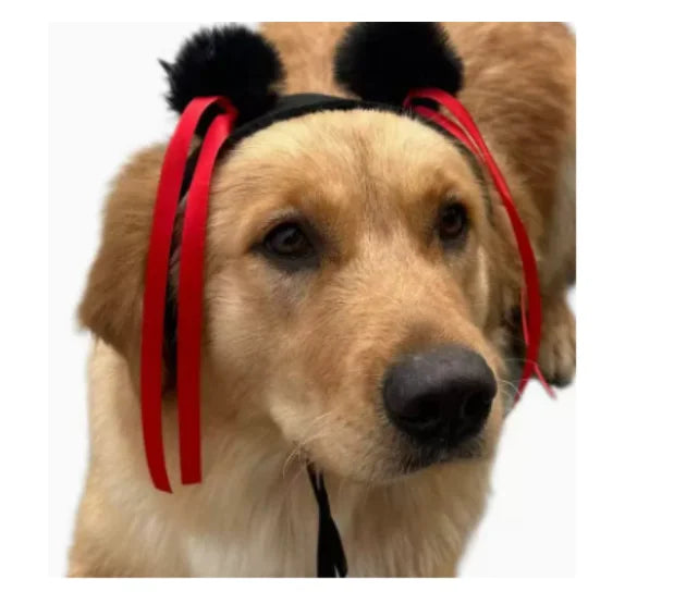 NONOR Pet Wigs Cosplay Props Funny Dogs Cats Cross-Dressing Hair Hat Costumes Head Accessories for Halloween Christmas Supplies